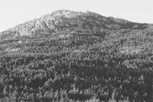 1880