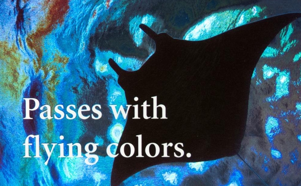Bring Brands to Life with Holographic Gift Cards
