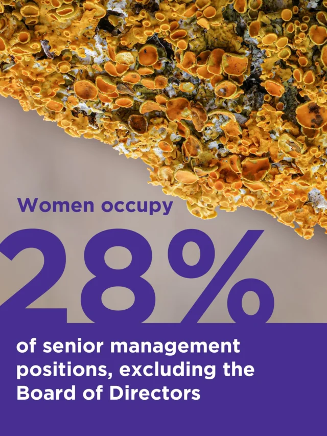 In 2024, women held 28% of senior management positions at Monadnock — because diverse leadership drives stronger decisions and a more sustainable future.

📥 Read more in our 2024 Corporate Social Responsibility Report, link in bio. 

#AccountableByDesign  #Sustainability #CorporateSocialResponsibility #Accountability #MeasuredResults #EcoVadisPlatinum #MadeintheUSA