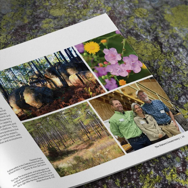 How do you capture the scale of Georgia’s natural beauty on the page? 🌊🌳

For the 2024 Georgia Impact Report, The Nature Conservancy's every decision mattered — from design and photography to the paper that carried it.

Astrolite PC 100® Velvet brought warmth, depth, and refinement to every page. Proving that sustainability isn’t an afterthought. It’s the mission itself.

✨ Discover more at the link in bio.

#PrintWithPurpose #SustainablePrint #AstrolitePC100Velvet #PaperMatters #ConservationInPrint