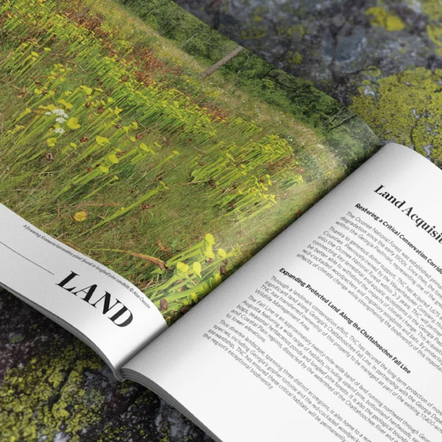 Sustainability isn’t a footnote—it’s the headline. 🌍

For The Nature Conservancy, every choice in the 2024 Georgia Impact Report aligned with their mission to protect the natural world.

With Astrolite PC 100® Velvet, beauty and responsibility live on the same page. 

🌿 Read more at the link in bio.

#PrintWithPurpose #SustainablePrint #AstrolitePC100Velvet #PaperMatters #ConservationInPrint