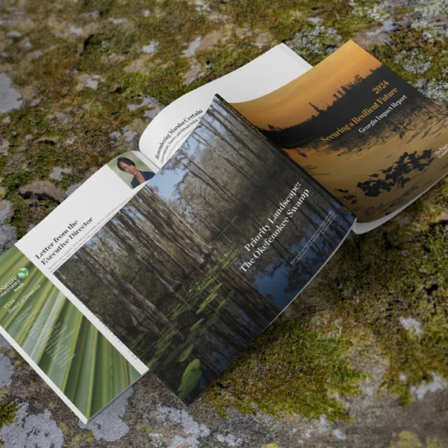 Purpose. Integrity. Tangibility. 🌿

The Nature Conservancy’s 2024 Georgia Impact Report was a story of Georgia’s natural beauty—in print that mirrors the organization's mission.

With Astrolite PC 100® Velvet, every page carries weight. Every page carried impact. Every detail reflected the mission.

💚 Read the full story at the link in bio.

#PrintWithPurpose #SustainablePrint #AstrolitePC100Velvet #PaperMatters #ConservationInPrint