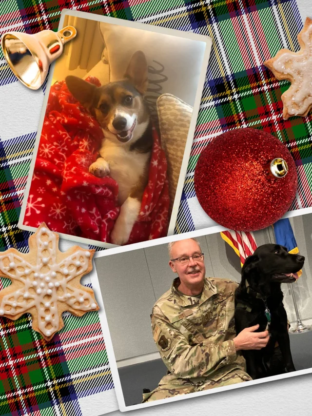 Holiday dinners, toasts, and programs that feel special: Astrolite PC 100® Velvet (100% PCW) brings a velvety touch to menus, invites, and keepsakes worth saving.

From the Monadnock Paper Mills family to yours.

#PaperMakesTheMoment #SustainablePrint #HolidayMail #HolidayTraditions #HolidayRetail #SustainableGifting #AstrolitePC100